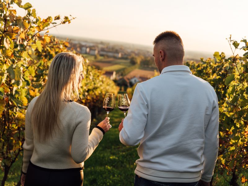 Podzim ve vinohradě
