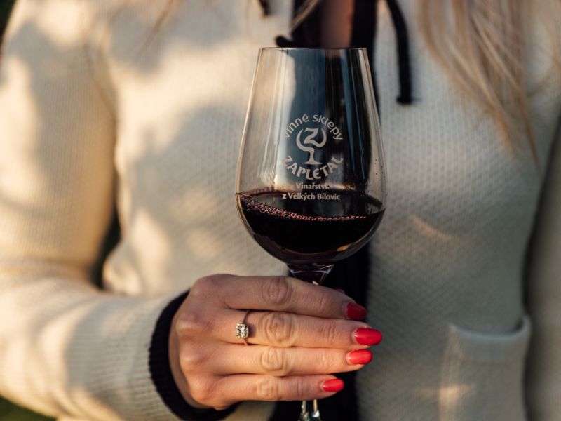 Podzim ve vinohradě