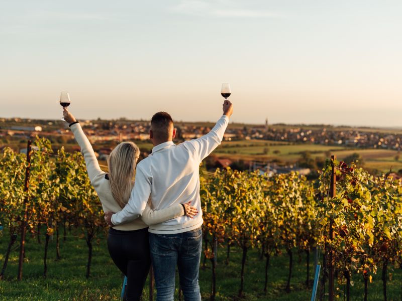 Podzim ve vinohradě