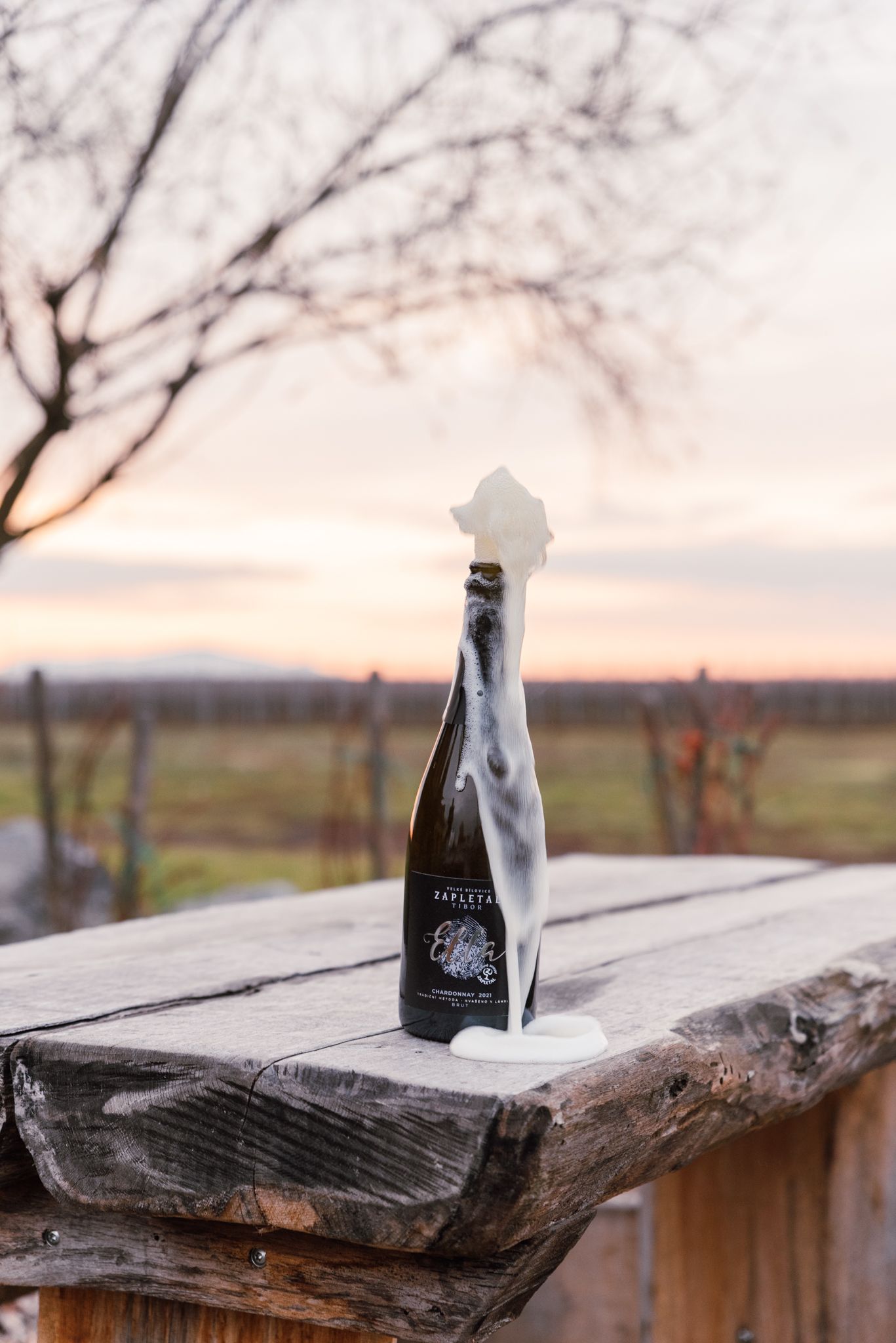 Šťastný nový rok 2025!